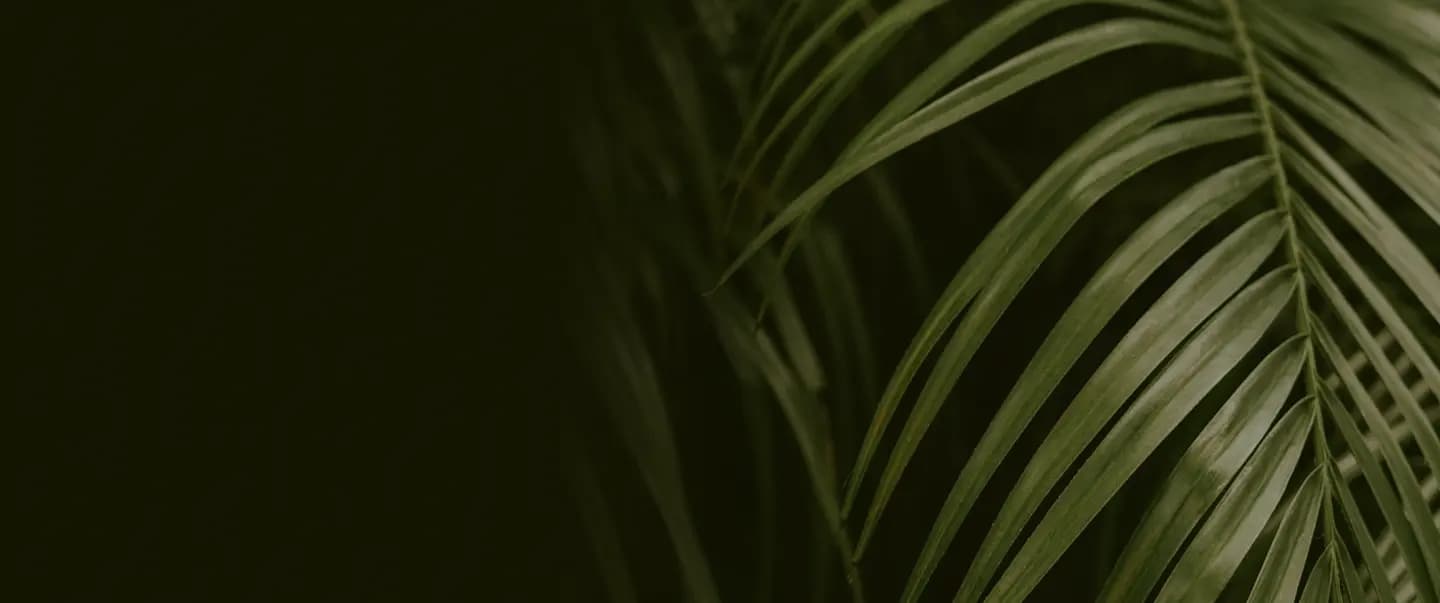 Hero Background Image