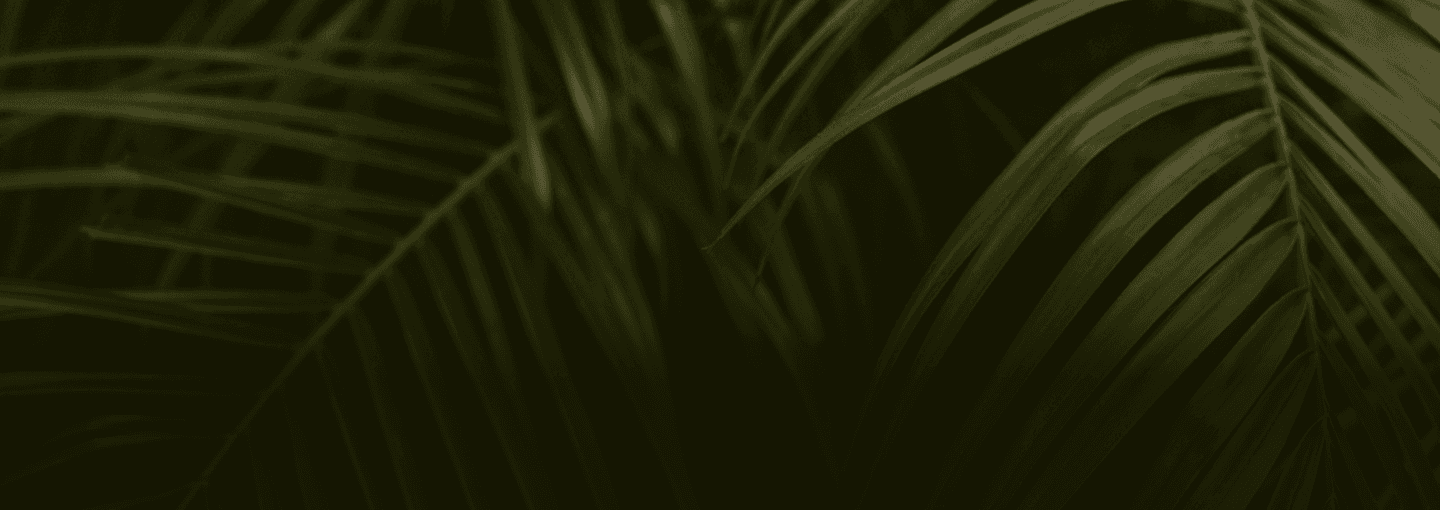 Hero Background Image